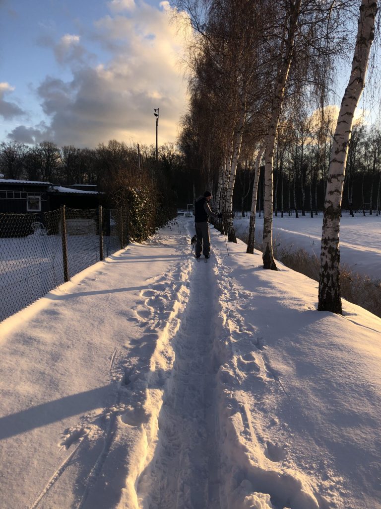 Mann im Schnee mit Hund